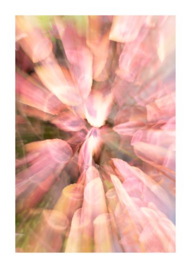 Abstracte weergave met roze en groene vegen, zachte kleuren en vage vormen.