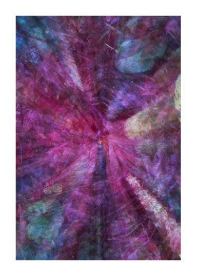 Kleurrijke abstracte kunst met paarse, blauwe en roze tinten in een spiraalvorm.