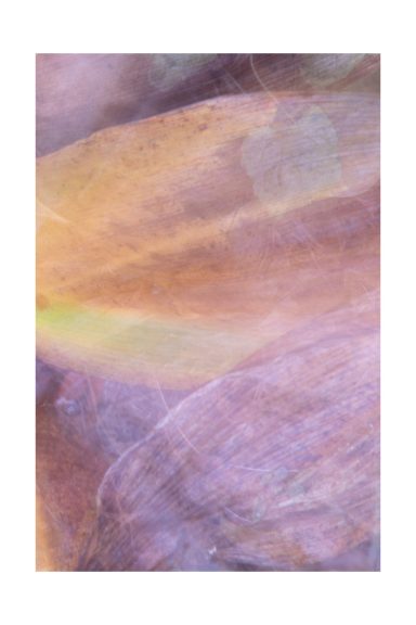 Zachte lavendel- en perzikkleurige abstracte achtergrond met vage lijnen.